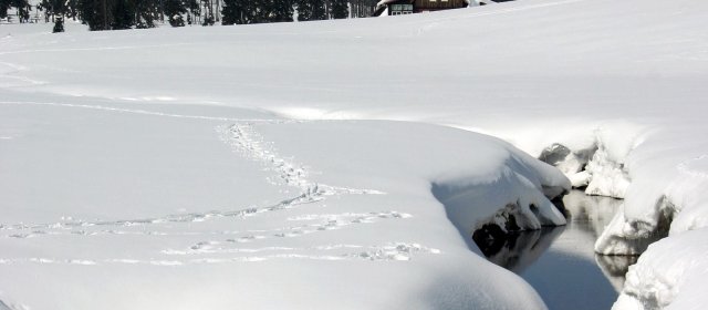 ilustrace na pozadí