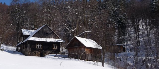 ilustrace na pozadí