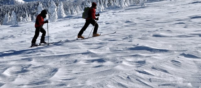 ilustrace na pozadí