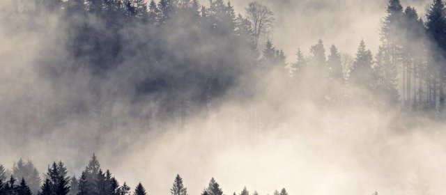 ilustrace na pozadí