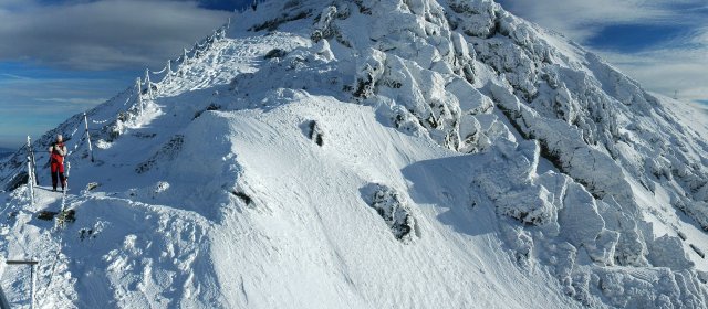 ilustrace na pozadí