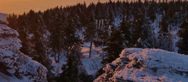 ilustrace na pozadí