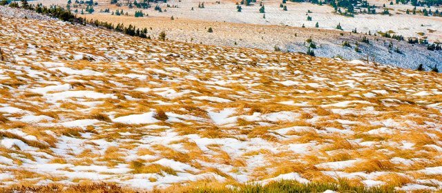 ilustrace na pozadí