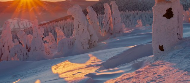 ilustrace na pozadí