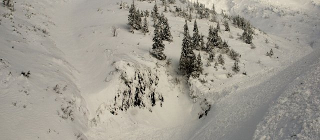 ilustrace na pozadí