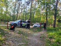 Pes HS ukončil velkou pátrací akci u Hradce