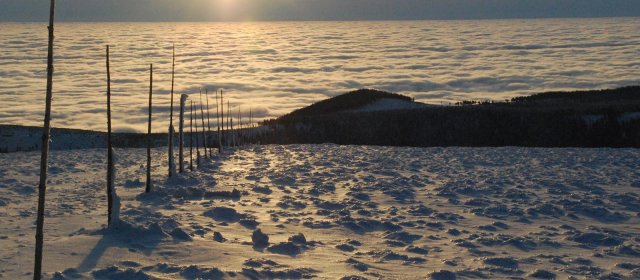 ilustrace na pozadí