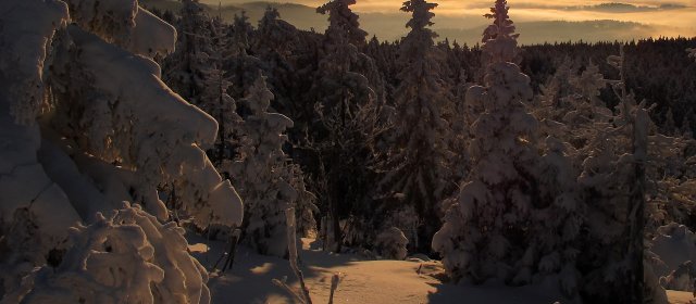 ilustrace na pozadí