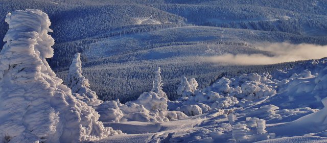 ilustrace na pozadí