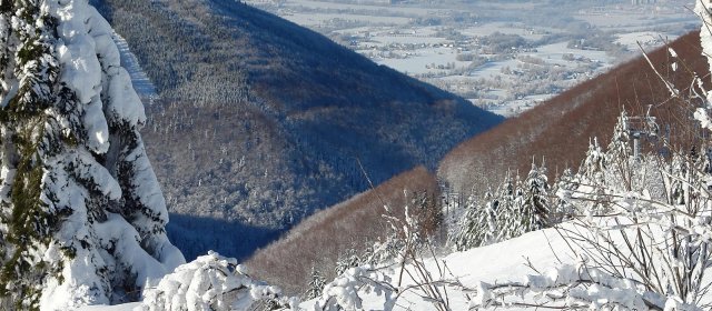 ilustrace na pozadí