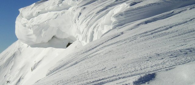 ilustrace na pozadí