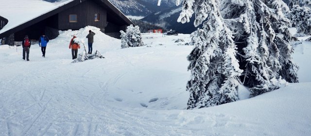 ilustrace na pozadí