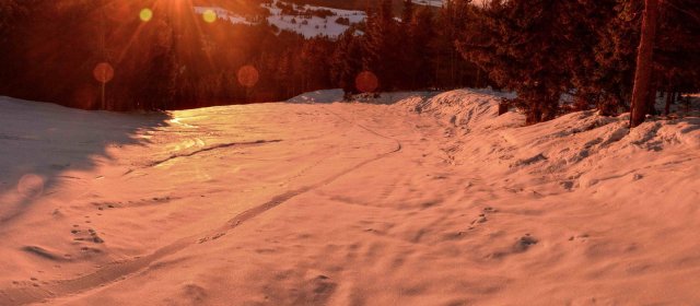 ilustrace na pozadí