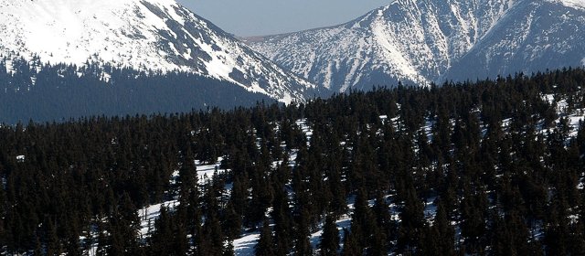 ilustrace na pozadí