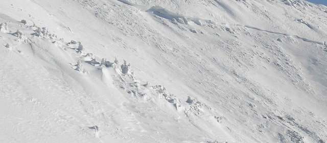 ilustrace na pozadí