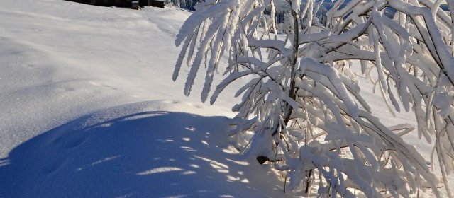 ilustrace na pozadí