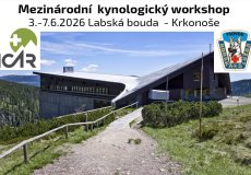 Mezinárodní kynologický workshop Labská bouda – Krkonoše