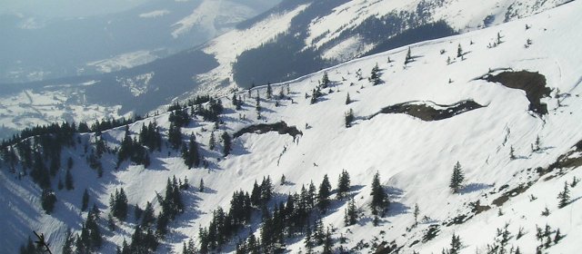 ilustrace na pozadí