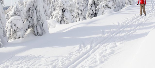 ilustrace na pozadí