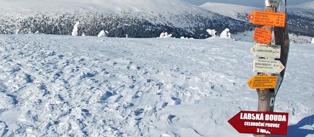 ilustrace na pozadí