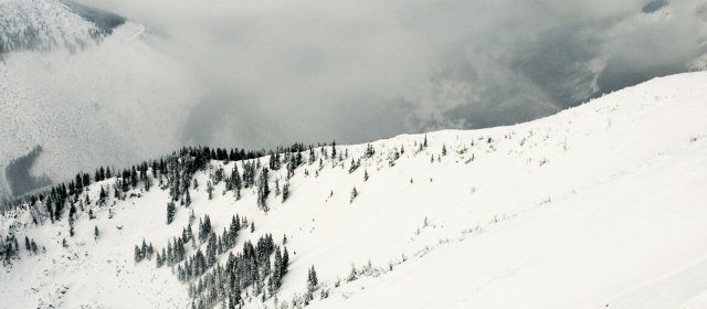 ilustrace na pozadí