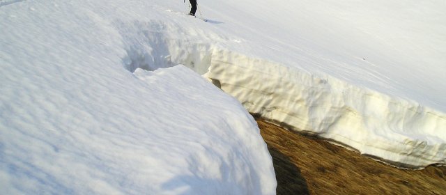 ilustrace na pozadí