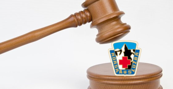Prodej nepotřebného majetku Prodej nepotřebného majetku