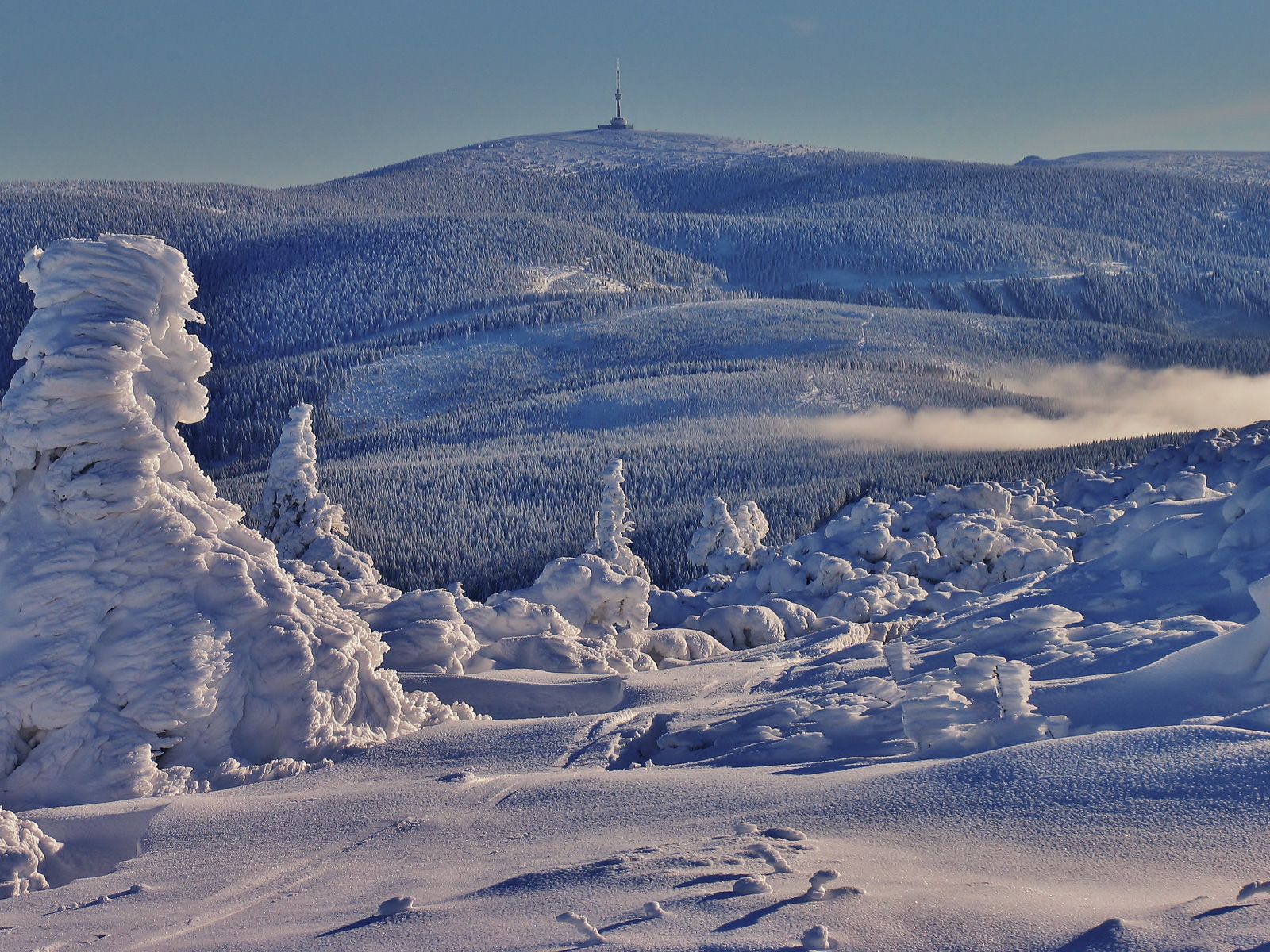ilustrace na pozadí