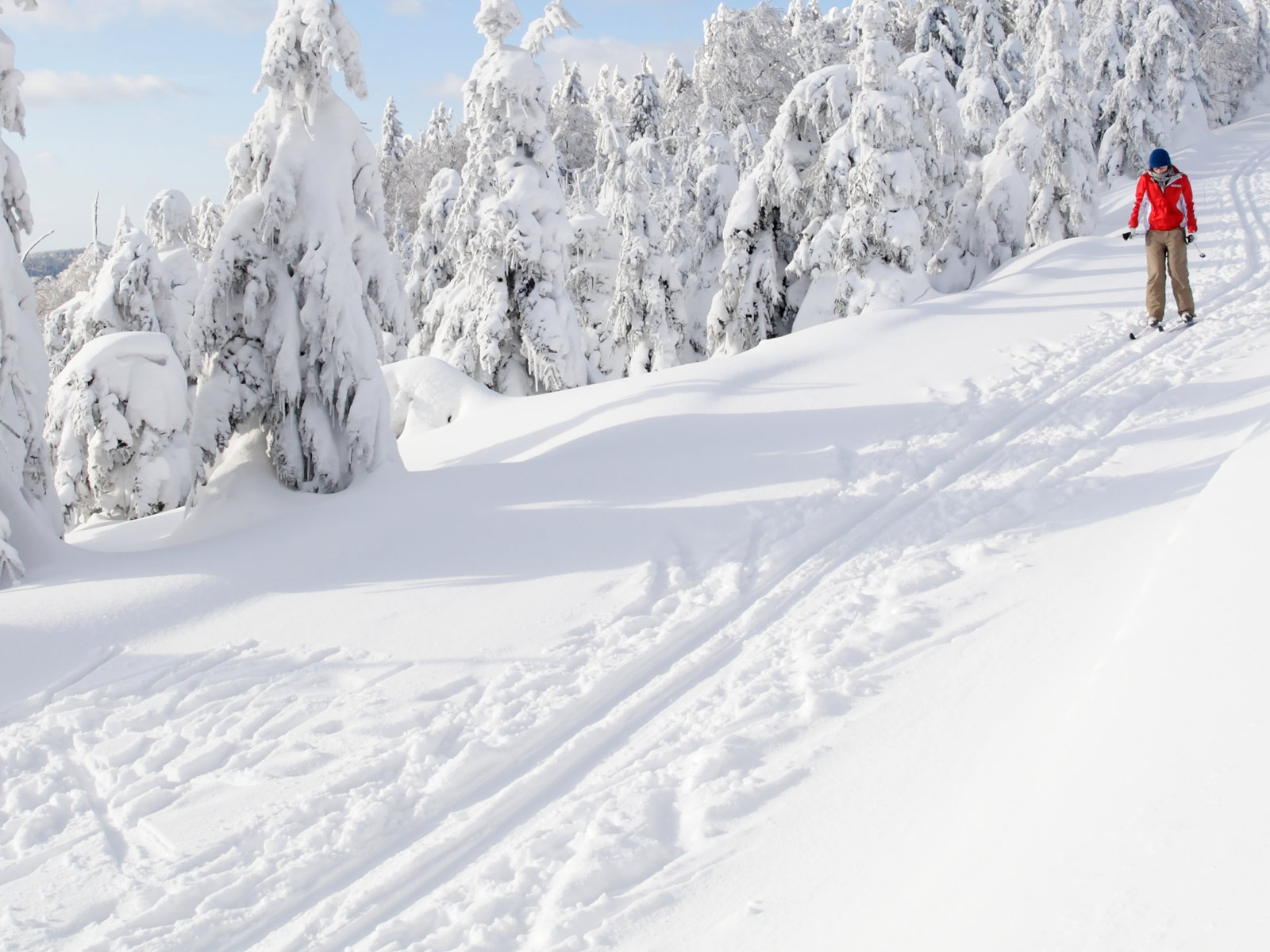 ilustrace na pozadí