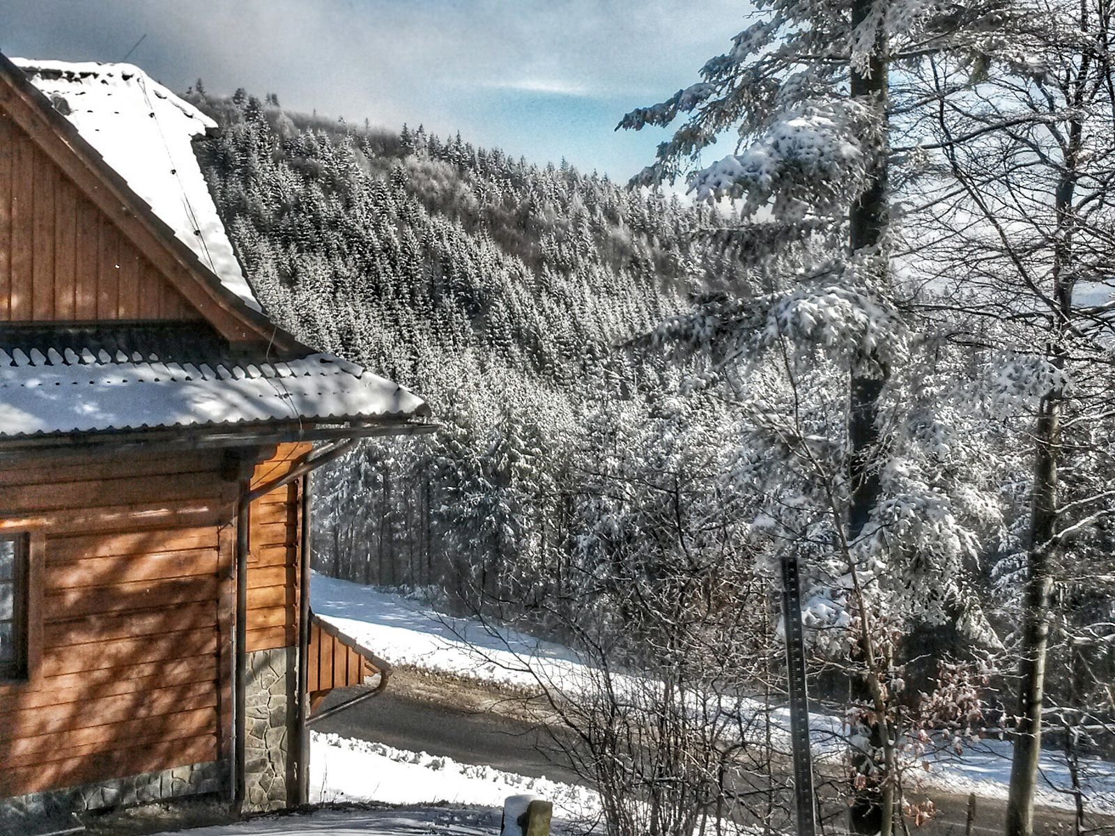 ilustrace na pozadí