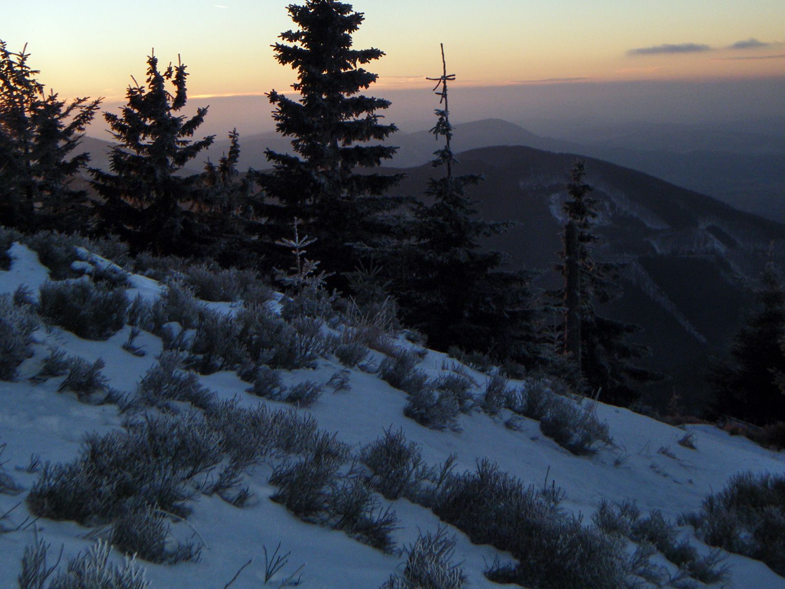 ilustrace na pozadí