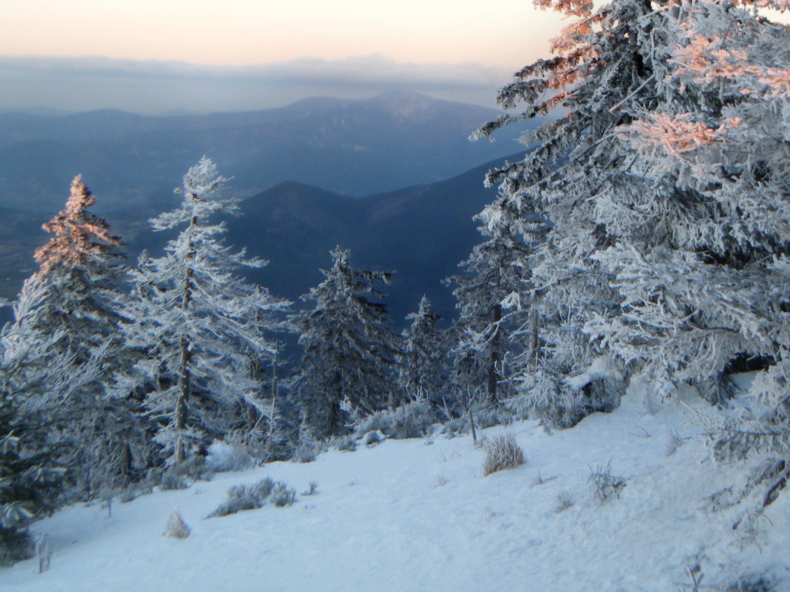 ilustrace na pozadí