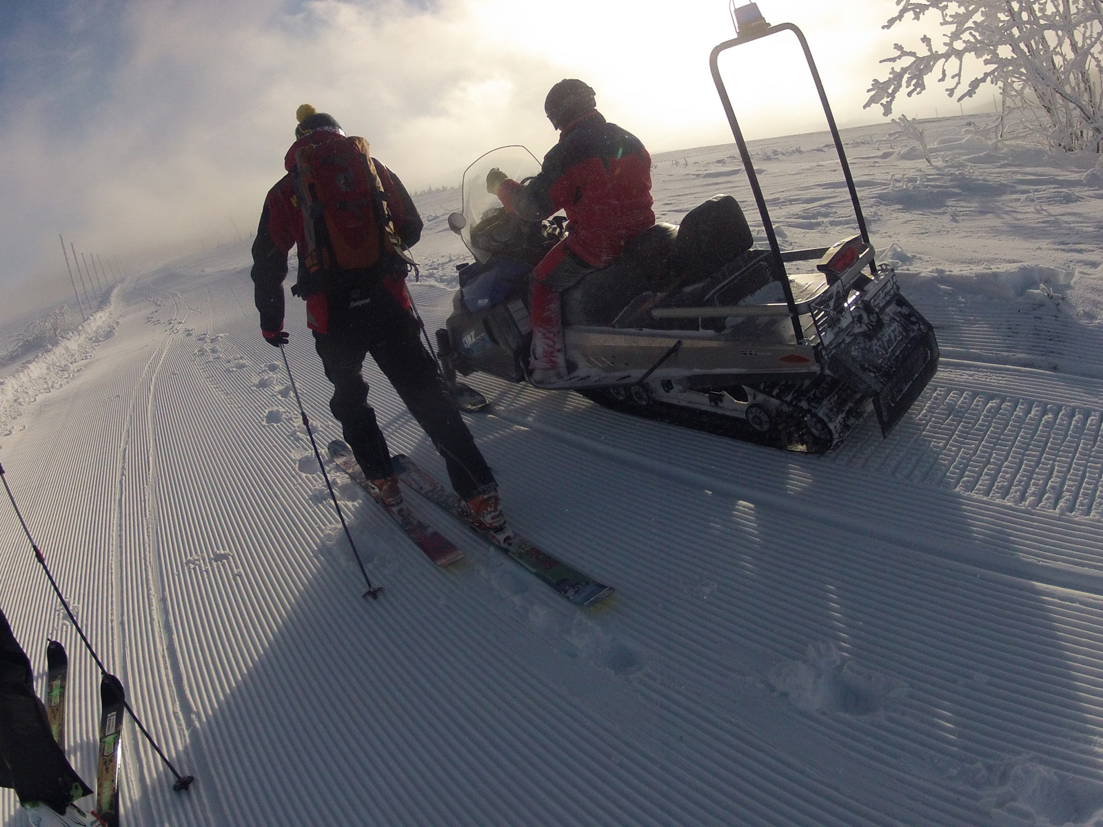 ilustrace na pozadí