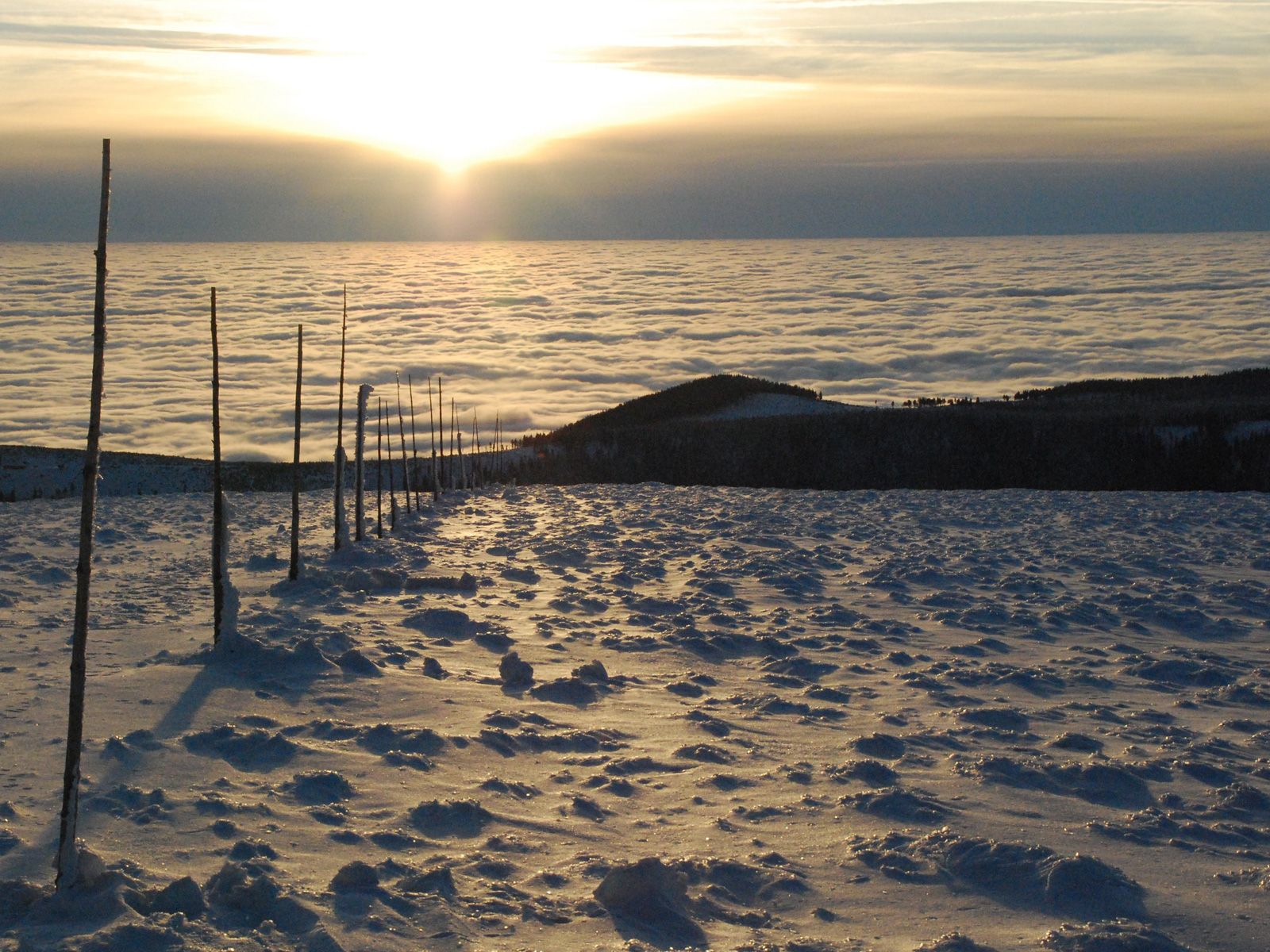 ilustrace na pozadí