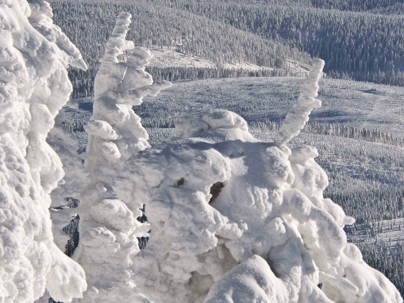 ilustrace na pozadí