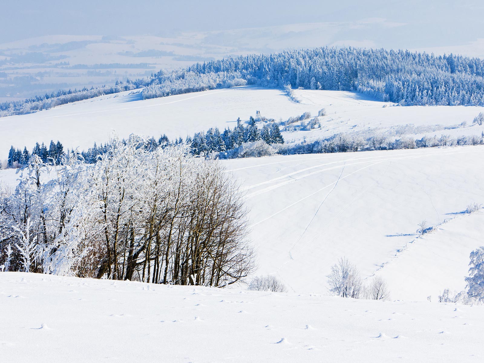 ilustrace na pozadí