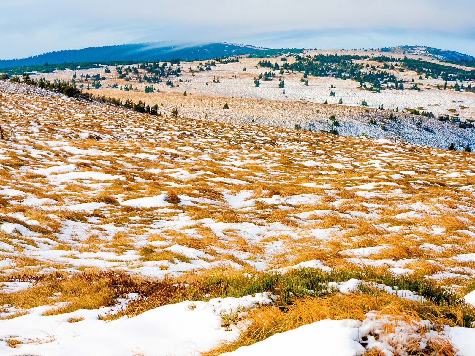 ilustrace na pozadí