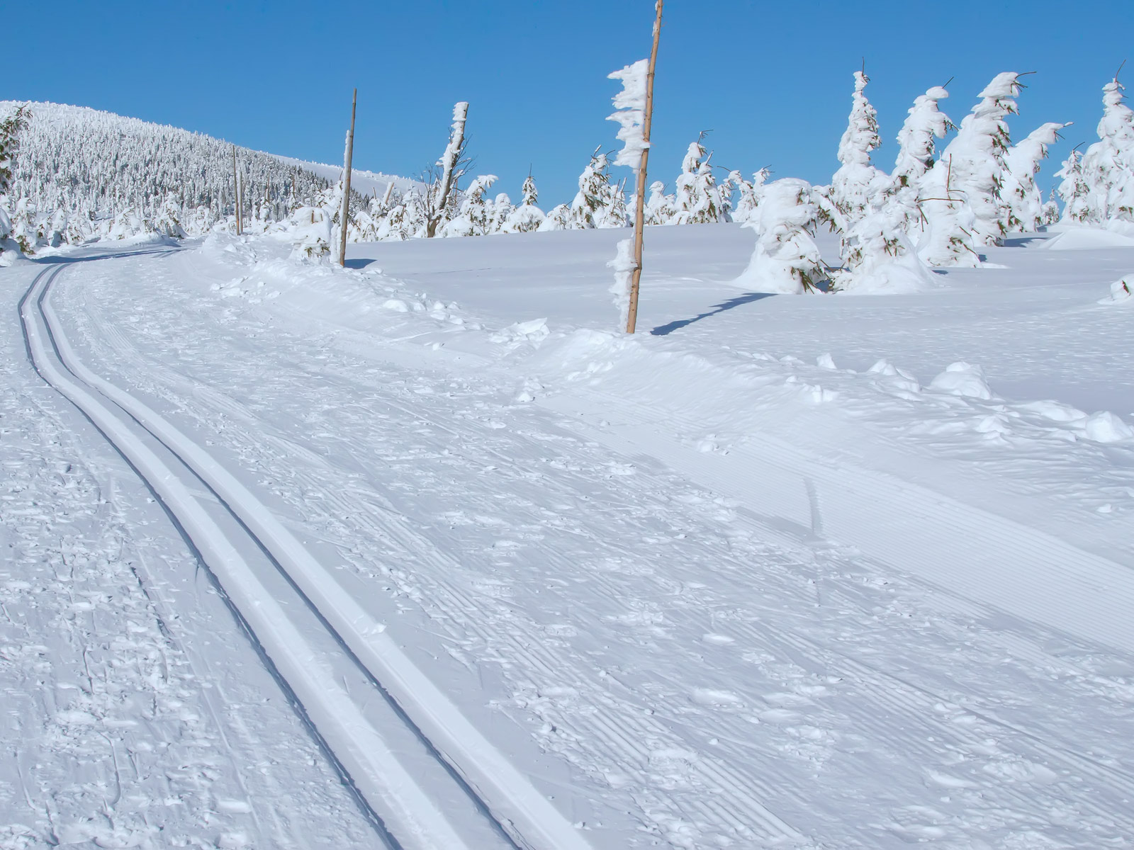ilustrace na pozadí