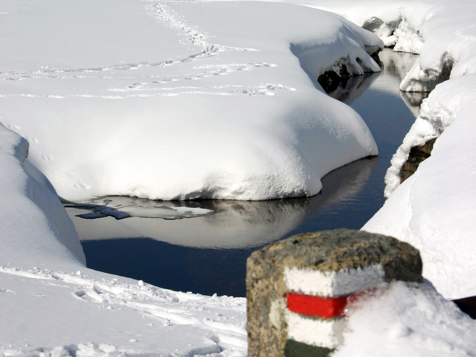 ilustrace na pozadí