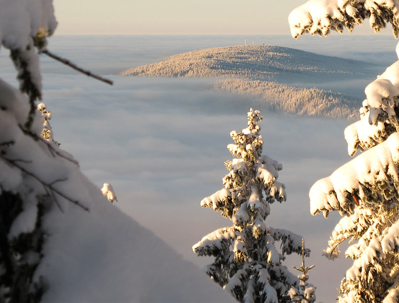 ilustrace na pozadí