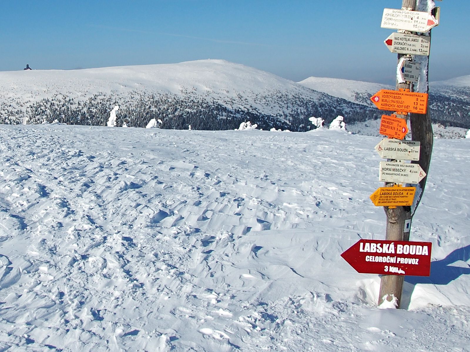 ilustrace na pozadí