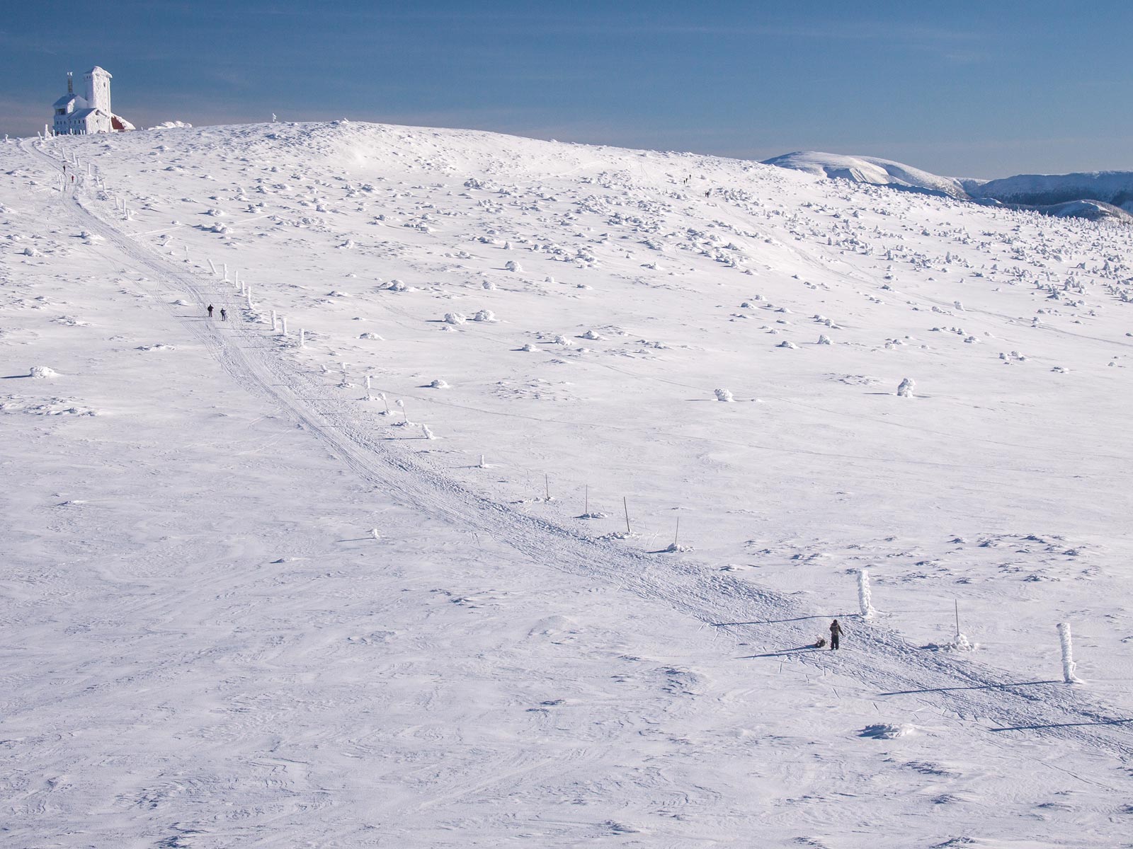 ilustrace na pozadí