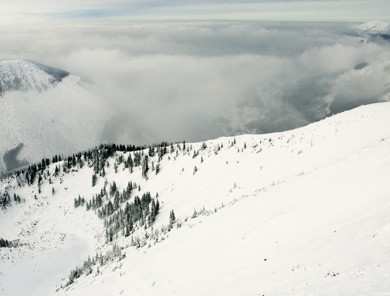 ilustrace na pozadí