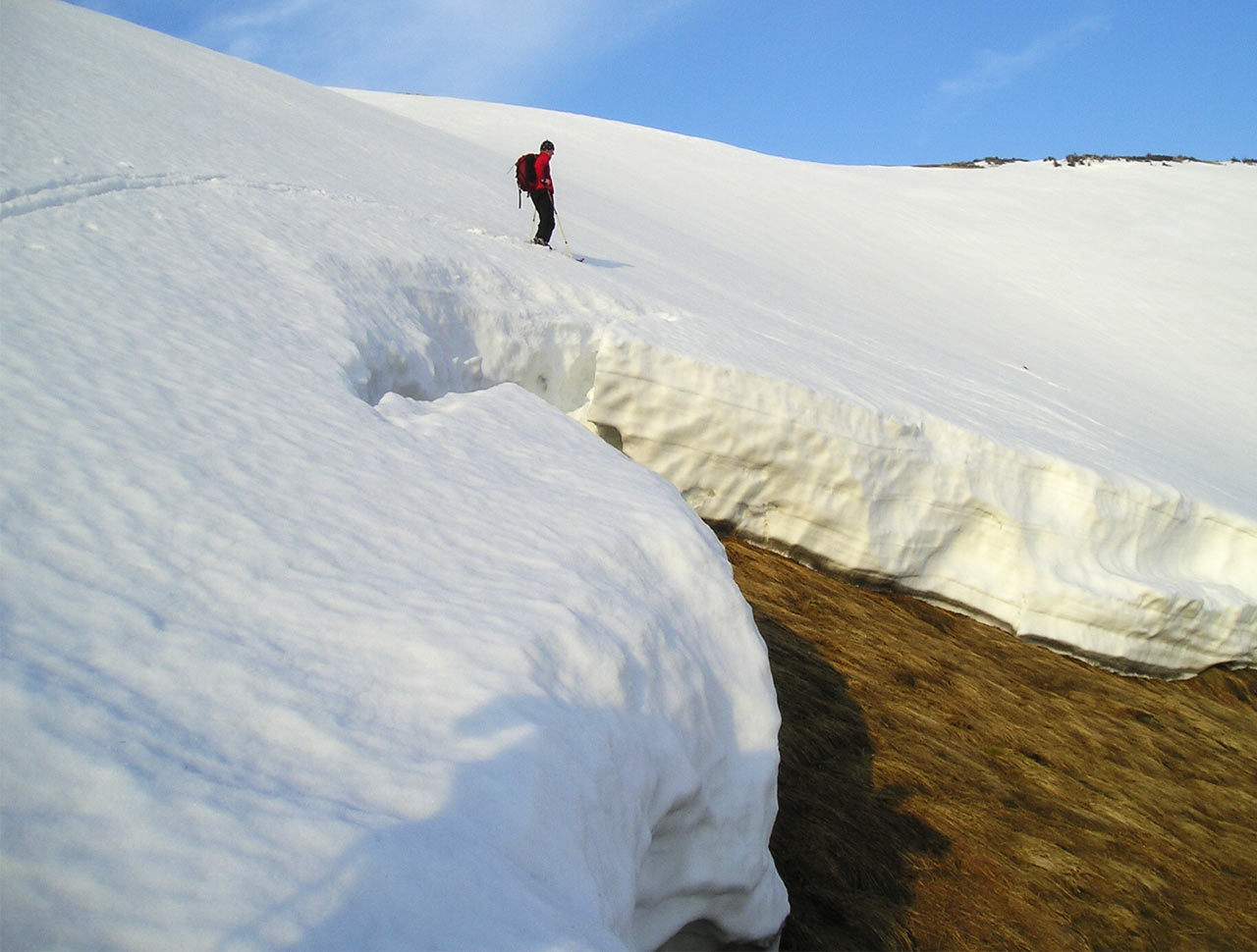 ilustrace na pozadí