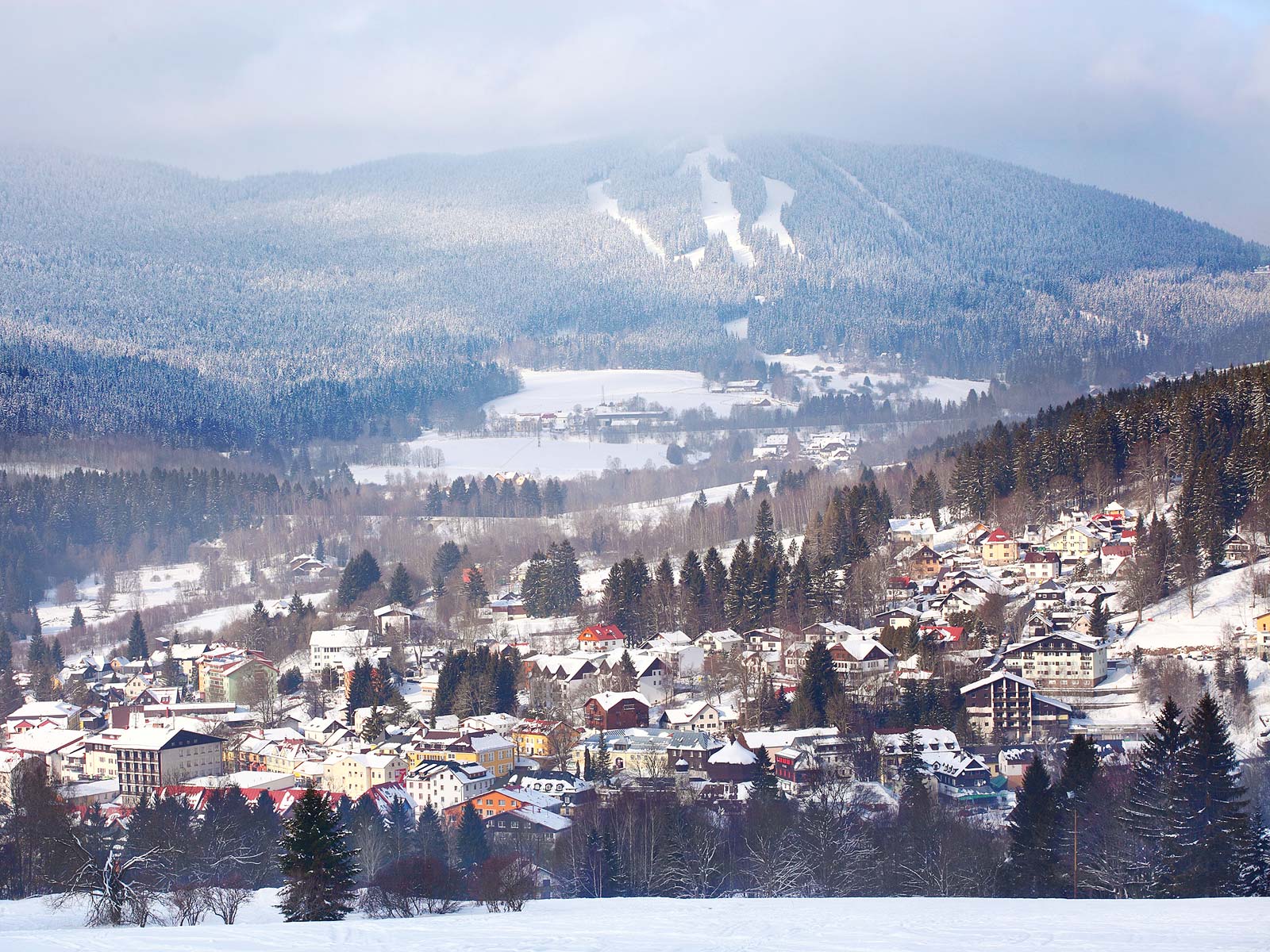 ilustrace na pozadí